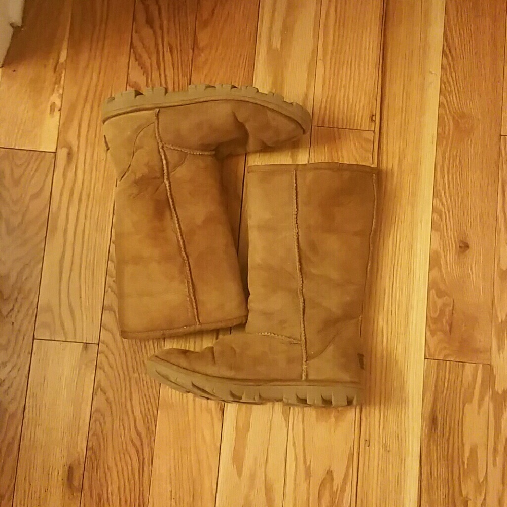 Chestnut Uggs